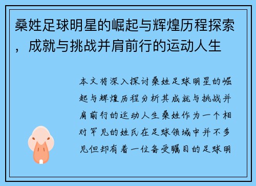 桑姓足球明星的崛起与辉煌历程探索，成就与挑战并肩前行的运动人生