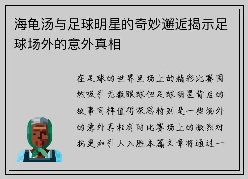 海龟汤与足球明星的奇妙邂逅揭示足球场外的意外真相